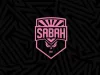 "Sabah"ın vingerinə görə "Dinamo"nu "topa tutdular" 