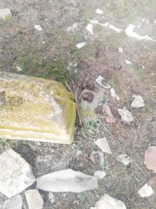 "Gələn il sizi Ağdamdakı toyuma dəvət edirəm" 