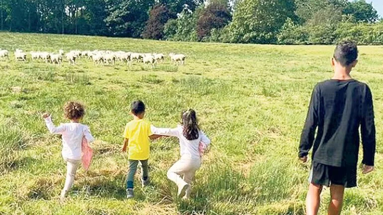 Qoyunlar Ronaldunun başına bəla oldu: 14 milyonluq villadan köçdü - FOTOLAR 