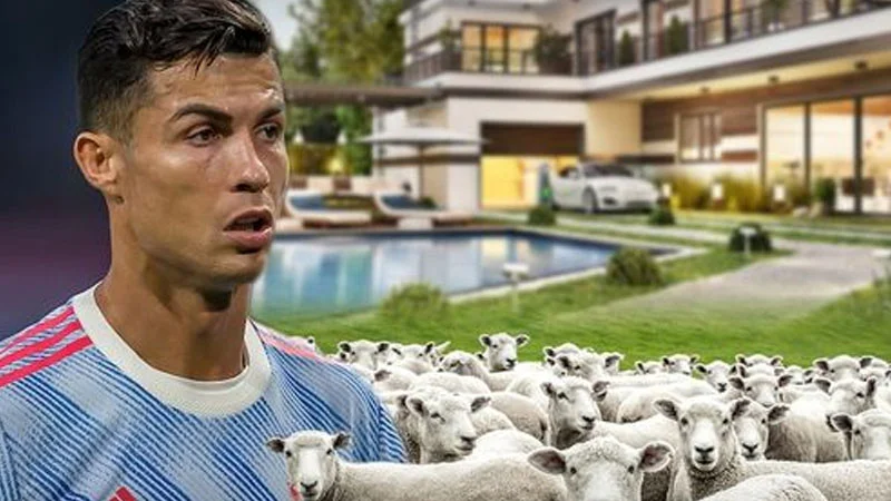 Qoyunlar Ronaldunun başına bəla oldu: 14 milyonluq villadan köçdü - FOTOLAR 