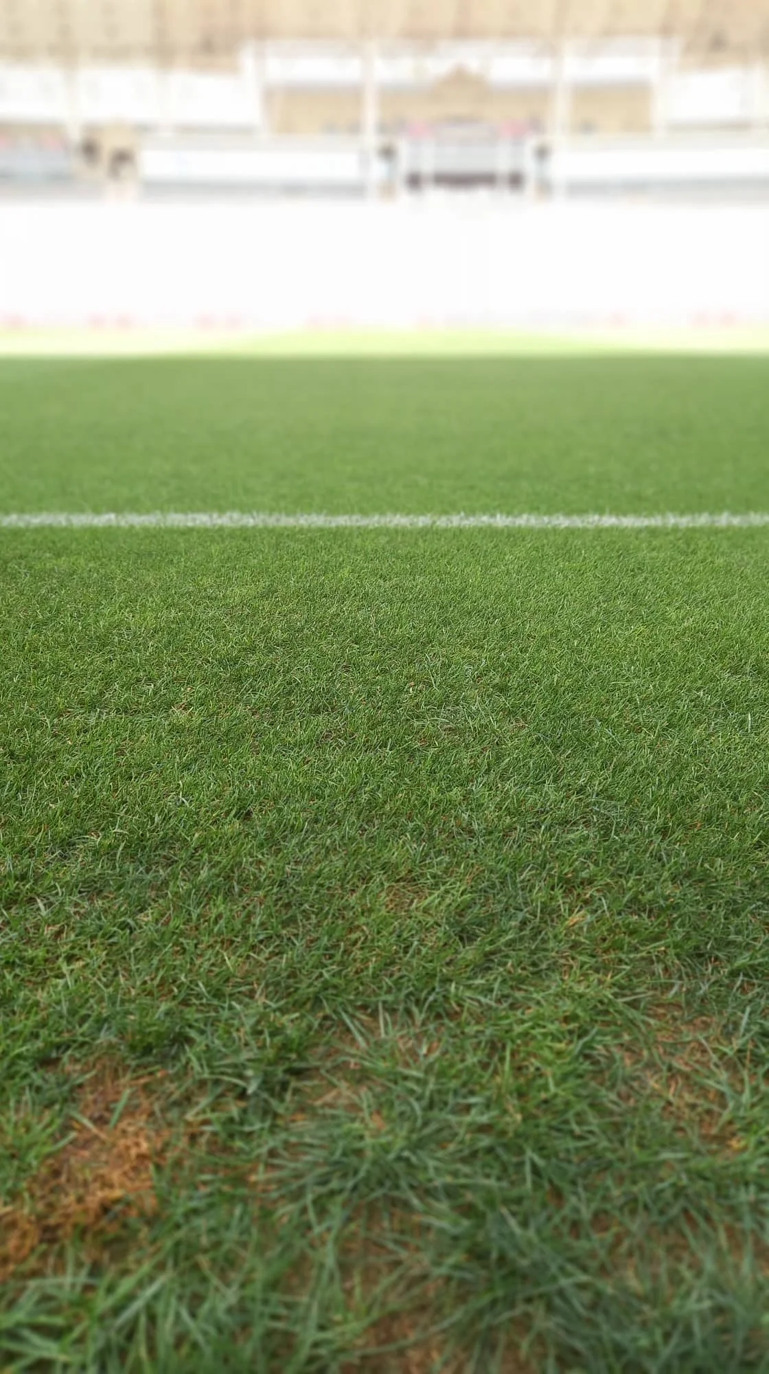 Respublika stadionu "Qarabağ" - "Olimpiakos" oyununa hazırdır - REPORTAJ 