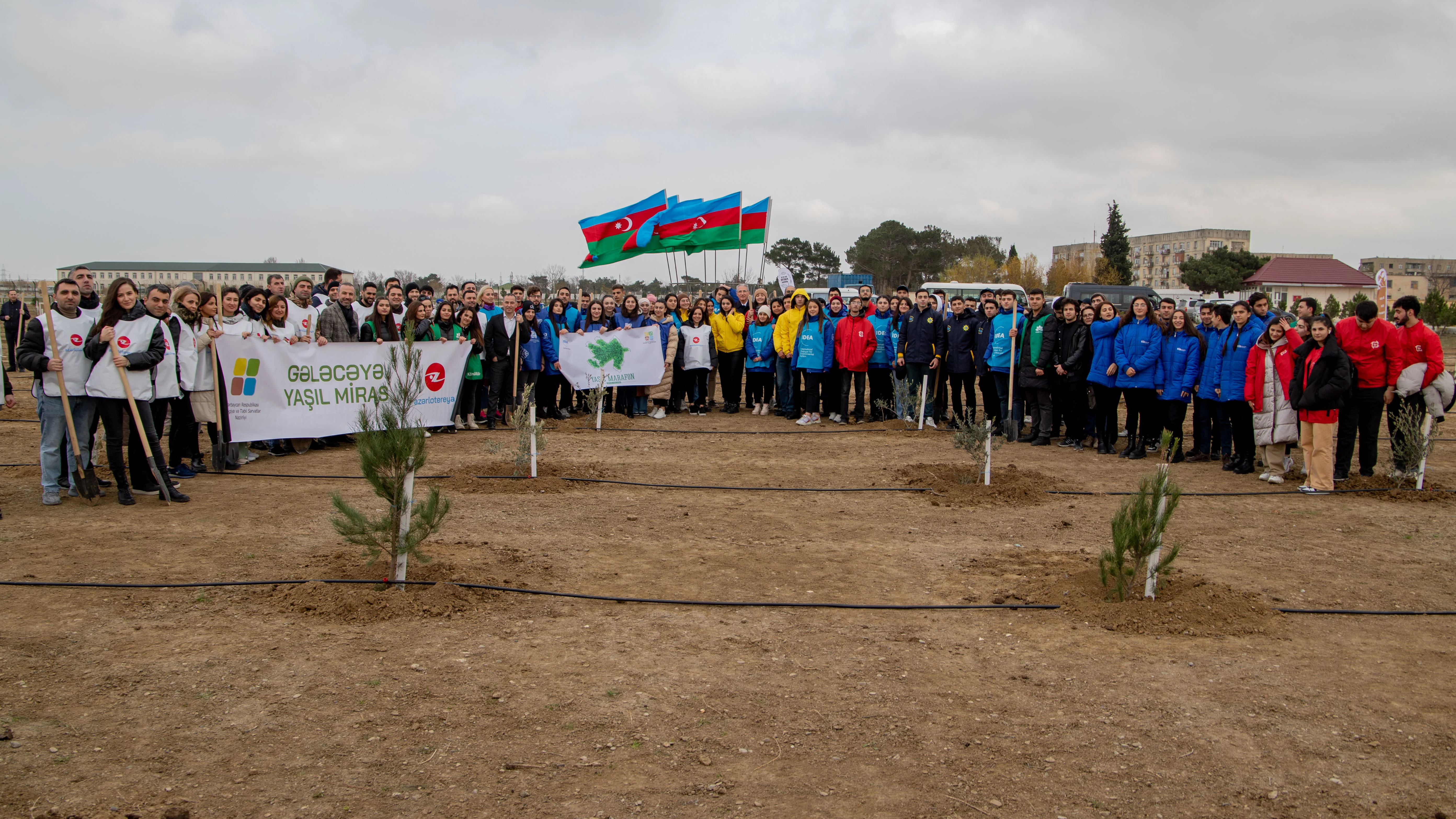 “Azərlotereya” ASC ağacəkmə aksiyasına qoşulub - VİDEO 