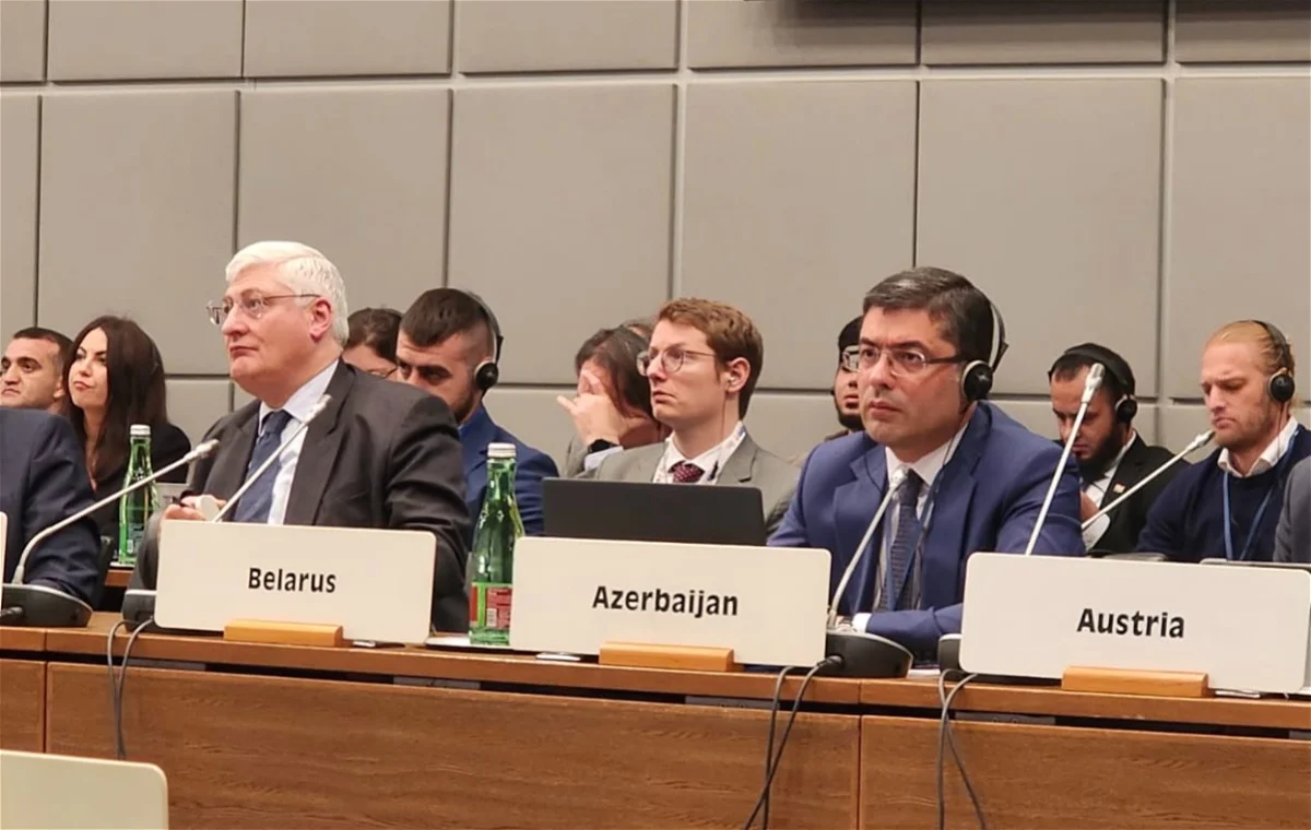 MEDİA rəhbəri ATƏT-in toplantısında - FOTO 