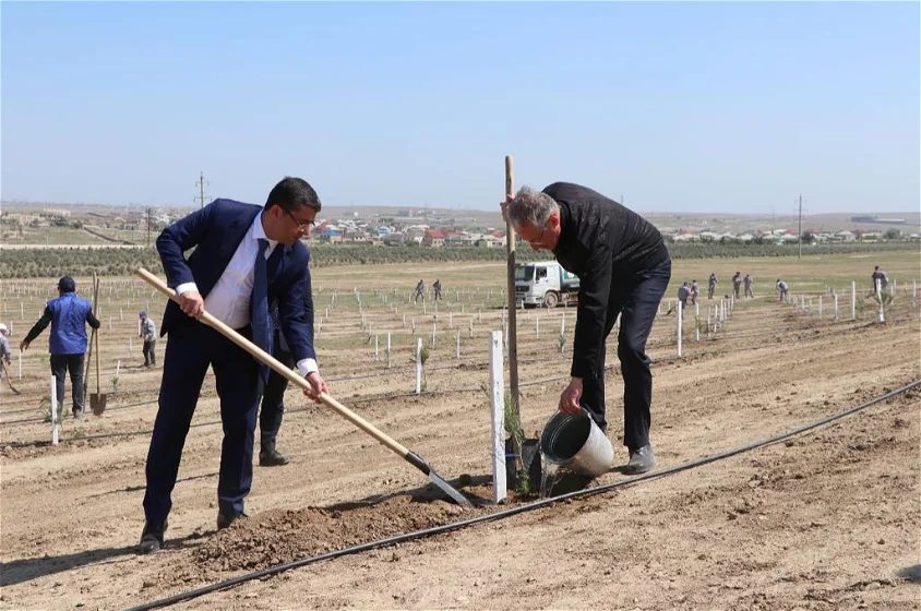 Heydər Əliyevin 100 illik yubileyinə həsr olunmuş ağacəkmə aksiyası keçirilib - FOTOLAR 