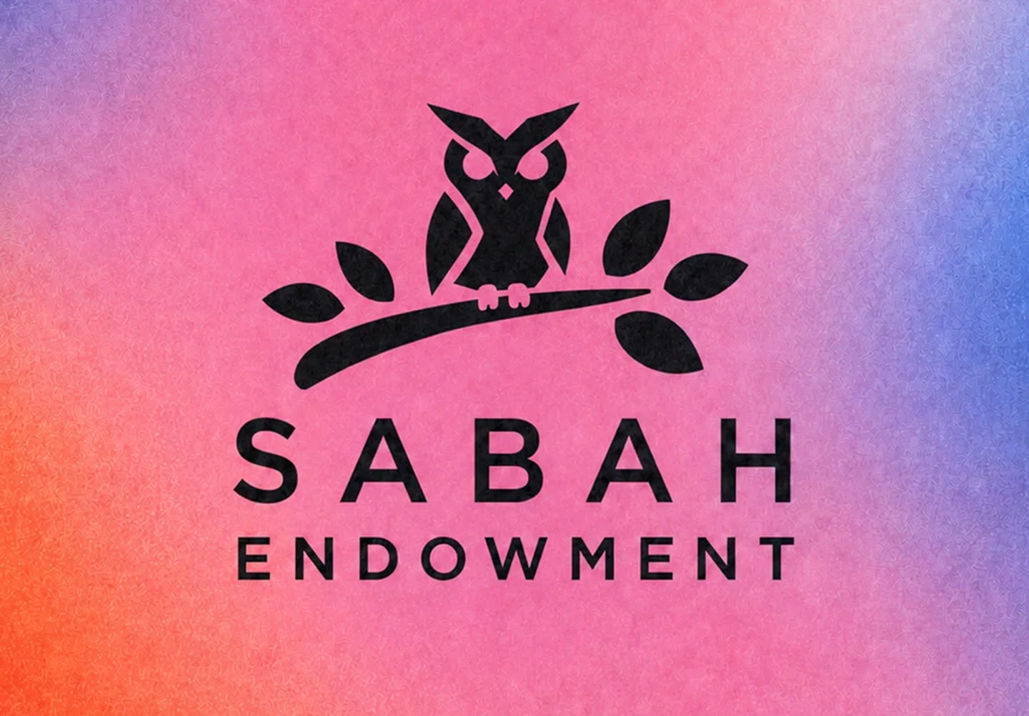 "Sabah"ın sabahına yatırımı nəyə xidmət edəcək? - "10 milyonu bir gündə xərcləyərsən, amma..." 