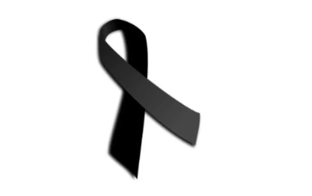 UEFA "Zirə"yə Lüksemburqda Zəhranı yad etməyə icazə verdi 