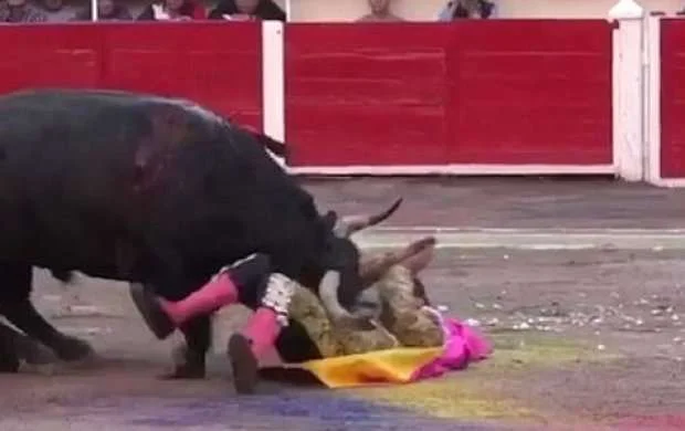 Ağır yaralanan matador buğanı öldürdü 