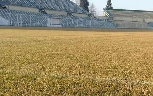 "Hazırda Gəncədə buludlu, soyuq hava var, otun saralması da təbii haldı" - MÜSAHİBƏ 
