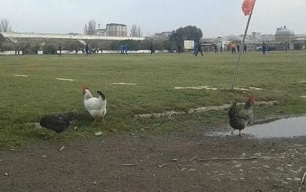 Yoxa çıxan uşaqlar 