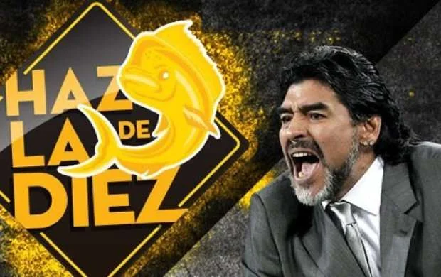 Maradona baş məşqçi təyin edildi 