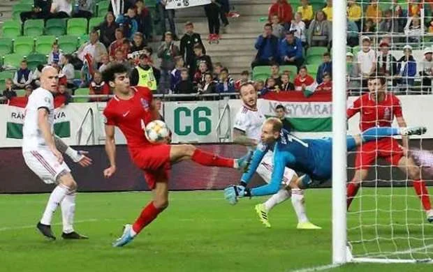 Niderlandlı hakim Azərbaycandan üzr istədi 