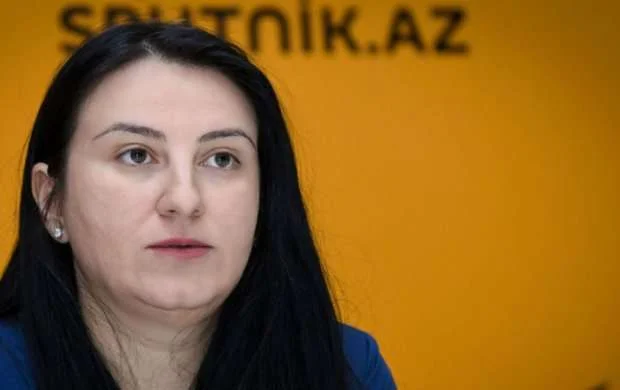 Məmmədyarova: "Ermənistan bu gedişi gözləmirdi, ona görə də böyük zərbə aldı" 