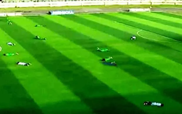 Arılar meydana hücum etdi, ara qarışdı - VİDEO 