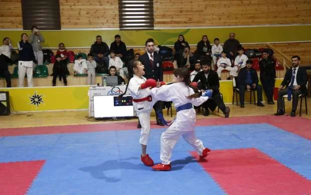 Karate üzrə açıq Zirvə birinciliyi keçirilib 