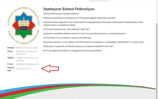 Şahmatımızın atlı və piyada problemləri - ARAŞDIRMA 