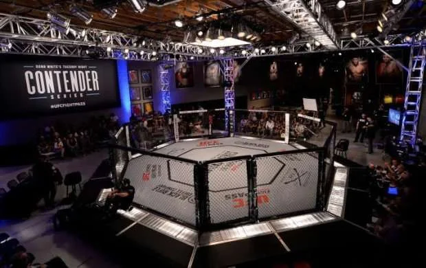 UFC Las Veqas turnirindəki iki döyüşü ləğv etdi 
