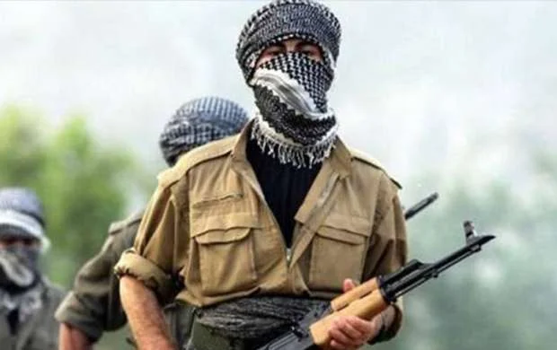 Qarabağda daha 12 PKK/YPG terrorçusu məhv edildi - VİDEO 