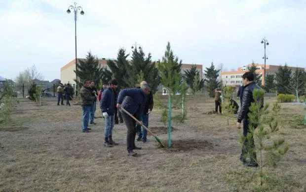 AFFA 50 mindən çox ağac əkdi 