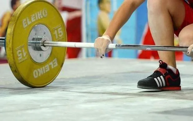 Millimizin Avropa çempionatı üçün heyəti 