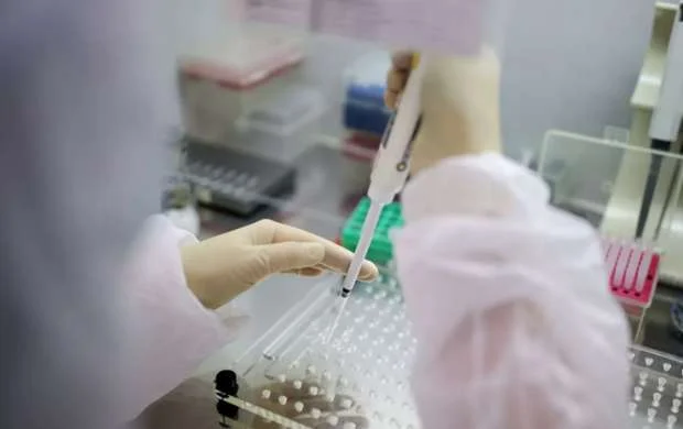 Milli komandada koronavirus şoku 