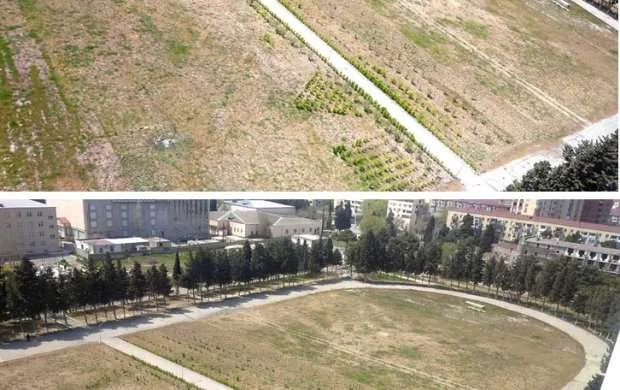 Azərbaycanda stadionu bostana çevirirlər? - FOTO 