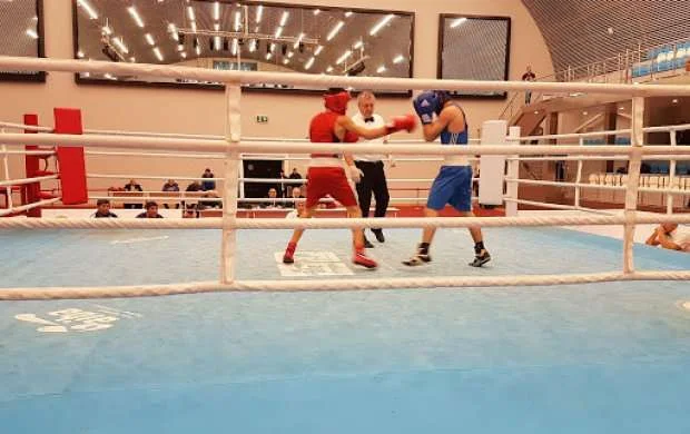 Məhəmmədəli Qasımzadə Avropa birinciliyinin yarımfinalında 