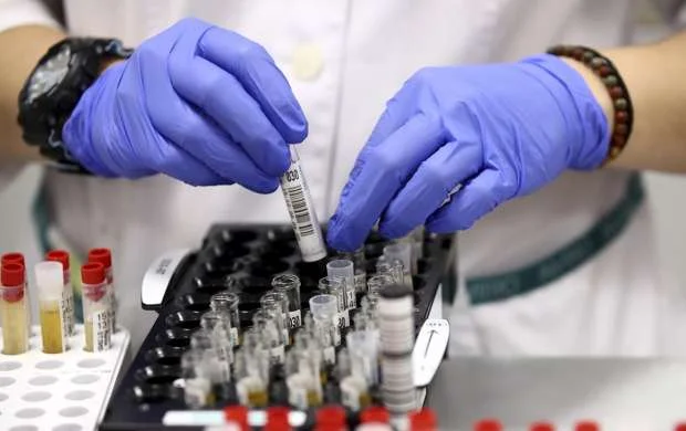 Koronavirus "Zirə"nin planlarını pozdu 
