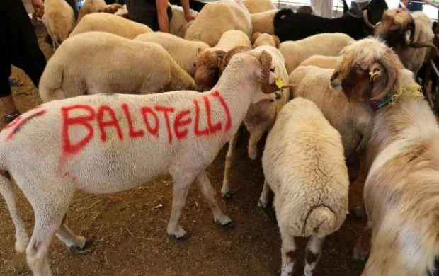 Qurbanlıq qoyunun üzərinə "Balotelli" yazdı, 2400 lirəyə satdı - FOTO/VİDEO 