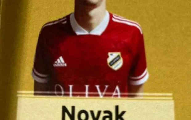 Miçoviçin oğlu Azərbaycana gələcək 