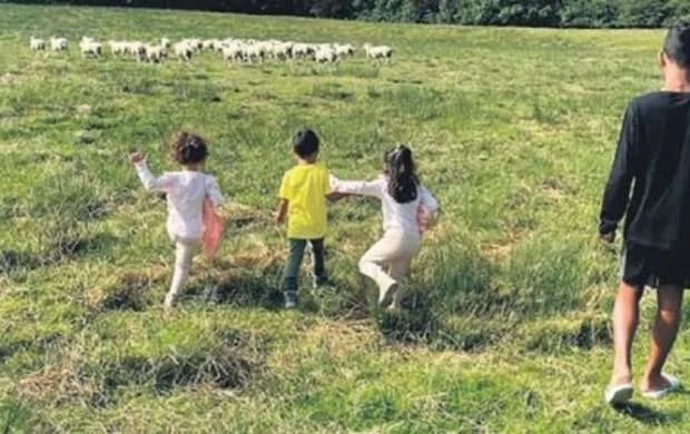 Qoyunlar Ronaldunun başına bəla oldu: 14 milyonluq villadan köçdü - FOTOLAR 