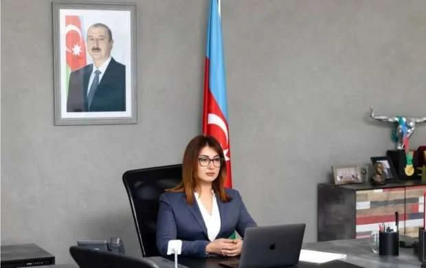 AMADA daha bir beynəlxalq layihəni uğurla həyata keçirtdi 