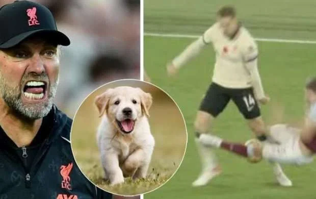 Klopp əsəbləşdi: "Mən sənin itin deyiləm"- VİDEO 