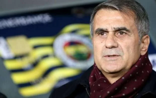 "Mən gizlicə heç kiminlə görüşməmişəm" - Şenol Güneş 