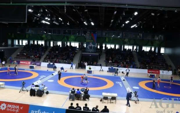 7 çəkidə Azərbaycan çempionları müəyyənləşdi 