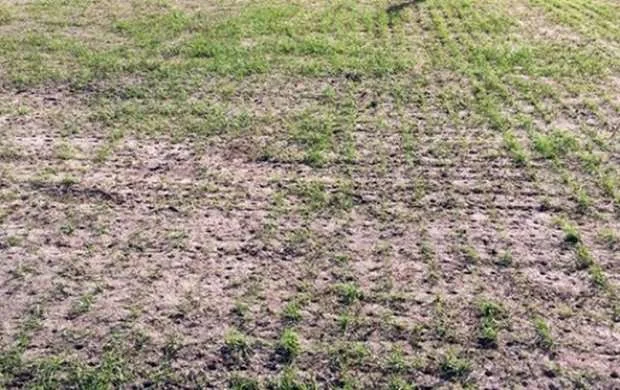Afrika Millətlər Kuboku: Oyunların keçiriləcəyi stadion dəyişdirildi 