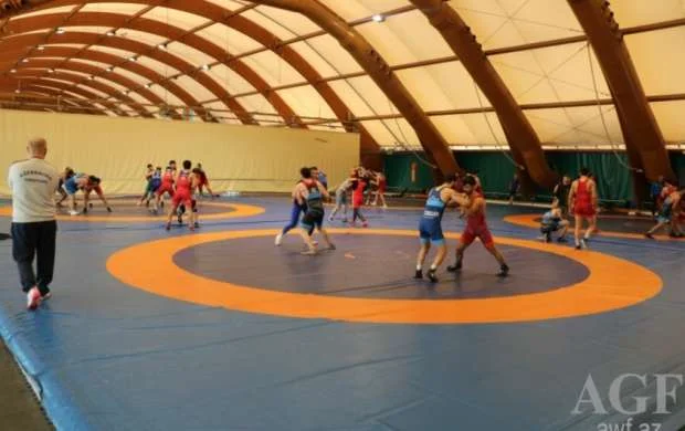 Yunan-Roma güləşçiləri Avropa çempionatına Bakıda hazırlaşır 