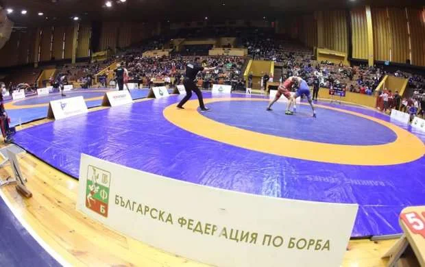Daha iki güləşçimiz Bolqarıstanda qızıl medal qazandı 