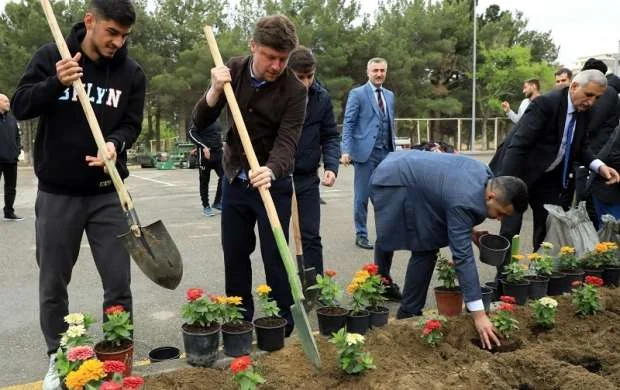 Aleksey Baqa Sumqayıtda gül əkdi 