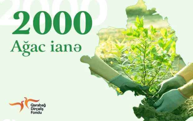 "BAL LİNE" şirkətindən xeyirxah addım 