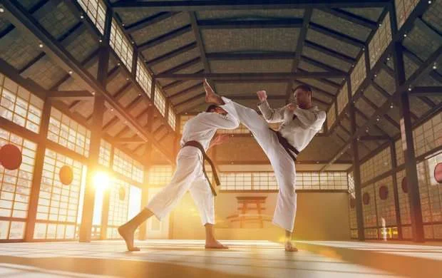 Karate Federasiyaları Assosiasiyası İctimai Birliyinin adı dəyişdirildi 