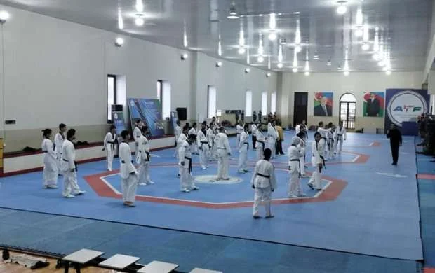 Taekvondo hakimləri üçün seminar keçirilir 