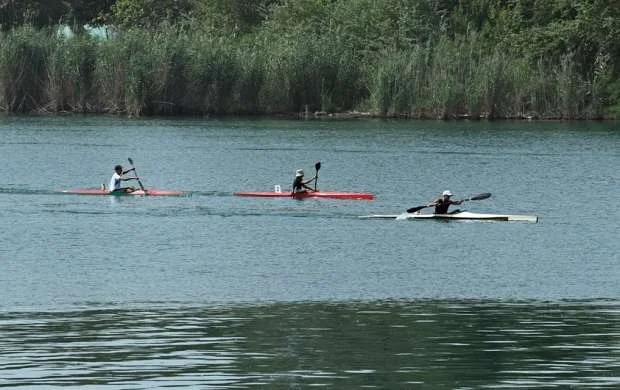 Avarçəkmə üzrə Azərbaycan çempionatına yekun vuruldu 