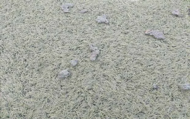 "Zaqatala"nın ev oyunlarını keçirdiyi stadion görənləri şoka salır - FOTO 