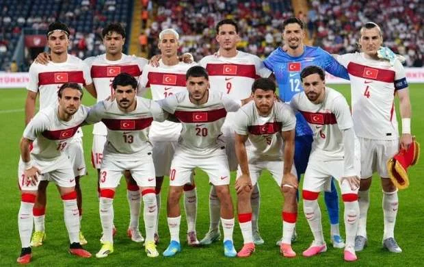 Türkiyə millisinin yeni baş məşqçisi kim olacaq? 